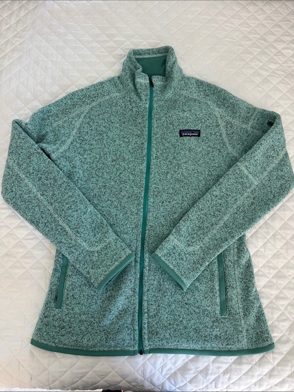 NWOT Patagonia Women’s Full-Zip Teddy Fleece Jacket - Mint